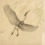A Hans Franks coloured aquatint of an Oriental bird in flight, signed lower left, dated 10,
