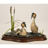 Border Fine Arts, 'Courting Grebes' WW3 by Ray Ayres, 24 x 30 cm