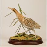 Border Fine Arts, 'Bittern' B1147 by Ray Ayres, limited edition 87/250, 26 x 24 cm