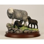 Border Fine Arts, 'Herdwick Ewe & Lambs' B1393 by Ray Ayres, limited edition 157/350, 19 x 20 cm