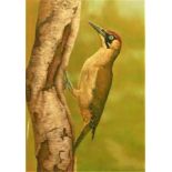 Robert Fuller (b.1972), Green Woodpecker, ltd ed print, signed and numbered in pencil 48/850, 30 x