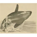 Mike Wallace (late 20th century), Blue whale, pencil sketch, signed and dated 2000, 32 x 41cm,