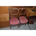 A pair of Victorian stained frame balloon back dining or bedroom chairs having stuffed seats on