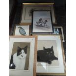 A selection of pictures, inc, Williamson, pastel sketch, cat, signed, 32 x 23cm, framed and