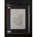 A print, grey squirrel, 21 x 16cm, framed and glazed