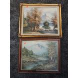 An oil painting, H Martin, mountainous landscape, signed 40 x 50cm, framed, and an oil painting,