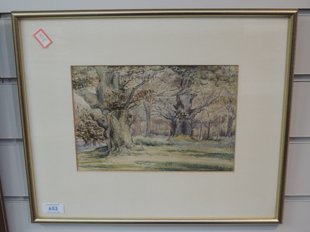 A watercolour, Ancient Oaks, woodland landscape, 17 x 25cm, framed and glazed