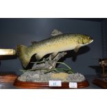 A limited edition figure of a trout fish by Border fine arts 227/950 (AF)