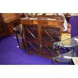 An early 20th Century mahogany display cabinet having astral glazed doors, width approx. 92cm