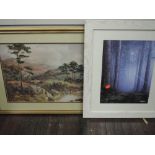 A print after GBB, trees, 42 x 31cm, framed and glazed, and a print, highland cattle, 39 x 54cm,