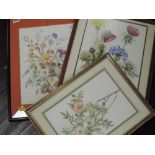 Three watercolours, Denise, still life, signed, inc 26 x 36cm, framed and glazed