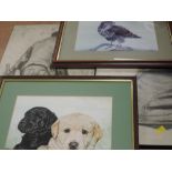 A selection of pictures, inc, a watercolour, Helen S, labrador puppies, signed and dated (19)74,