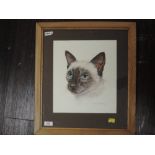 A watercolour. Monica Hartley, Siamese cat, signed, 30 x 27cm, framed and glazed