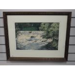 A watercolour, James Ingham Riley, Aysgarth falls, signed, 30 x 47cm, framed and glazed