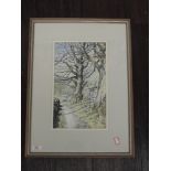 A watercolour, Janes Ingham Riley, woodland path, signed, 33 x 20cm, framed and glazed