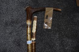 Two horn handled walking staffs.