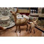 Two Beswick studies, Doe 999A and Fawn 1000B