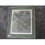 A Ltd Ed print, after Meg Stevens, snowdrops, signed and num 261/500, 45 x 35cm, framed and glazed