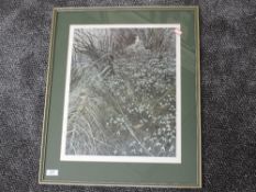 A Ltd Ed print, after Meg Stevens, snowdrops, signed and num 261/500, 45 x 35cm, framed and glazed