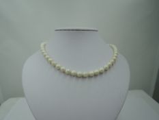 A string of cultured pearls having a 9ct gold decorative box clasp, approx 25' (AF)
