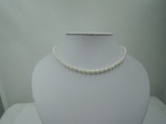 A string of cultured pearls of even form having a yellow metal clasp stamped 9K, approx 16'