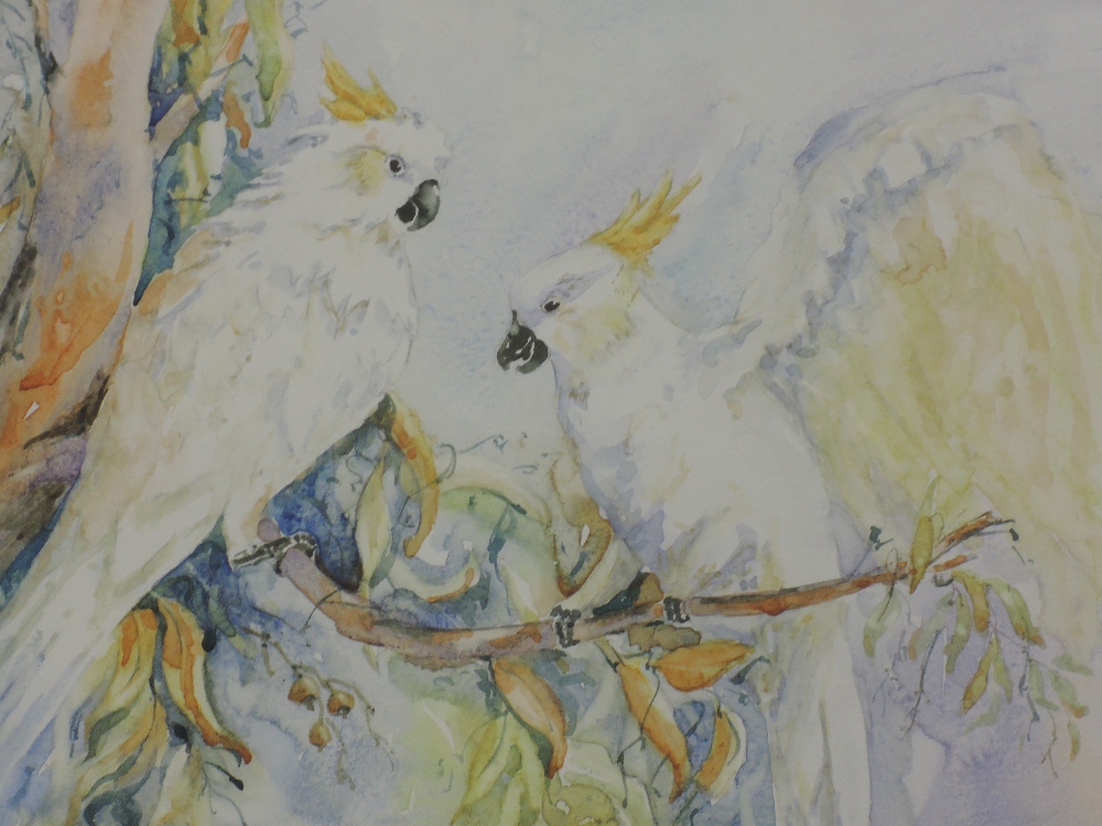 A watercolour, K Scally, parakeets, signed, 20 x 29cm, plus frame and glazed, and a print after - Image 2 of 3