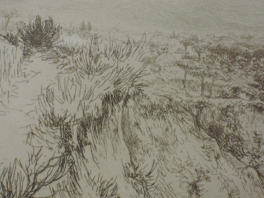 An etching, after Edgar Chaline, La Vallee fertile, attributed verso, 10 x 20cm, plus frame and - Image 4 of 4