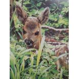 A selection of decorative prints, inc after Geoff Taylor, Bambi, signed, 30 x 26cm, plus frame and