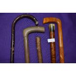 A selection of walking sticks and tiger stripped wood cane also steamed and bent examples