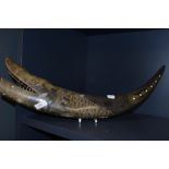 A large tribal styled hand carved buffalo or similar bovine horn carved in an Indonesian style