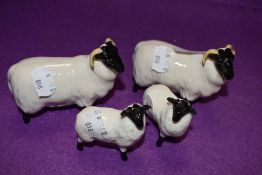 Four Beswick studies, Black Faced Sheep 1765 x2 and Black Faced Lambs 1828 x2