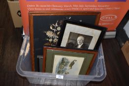 A selection of picture frames and prints