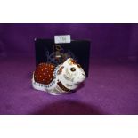 A Royal Crown Derby Paperweight Guinea Pig, boxed with Gold Stopper