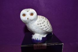 A Royal Crown Derby Paperweight Snowy Owl, boxed with Gold Stopper