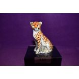 A Royal Crown Derby Paperweight Cheetah Cub, boxed with Gold Stopper