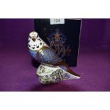 A Royal Crown Derby Paperweight Violet Budgerigar, boxed with Gold Stopper