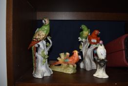 A selection of late Victorian slip cast figures of parrots and budgie fine examples damage to base