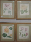 A set of four watercolours, L A Aves, still life, signed, 22 x 17cm, plus frame and glazed