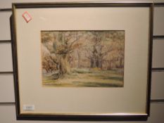 A watercolour, Ancient oaks, woodland landscape, 17 x 25cm, plus frame and glazed