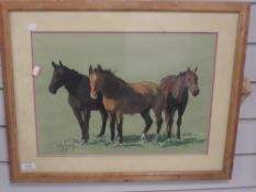 A pastel sketch, Higgins, horse study, 32 x 44cm, signed, plus frame and glazed