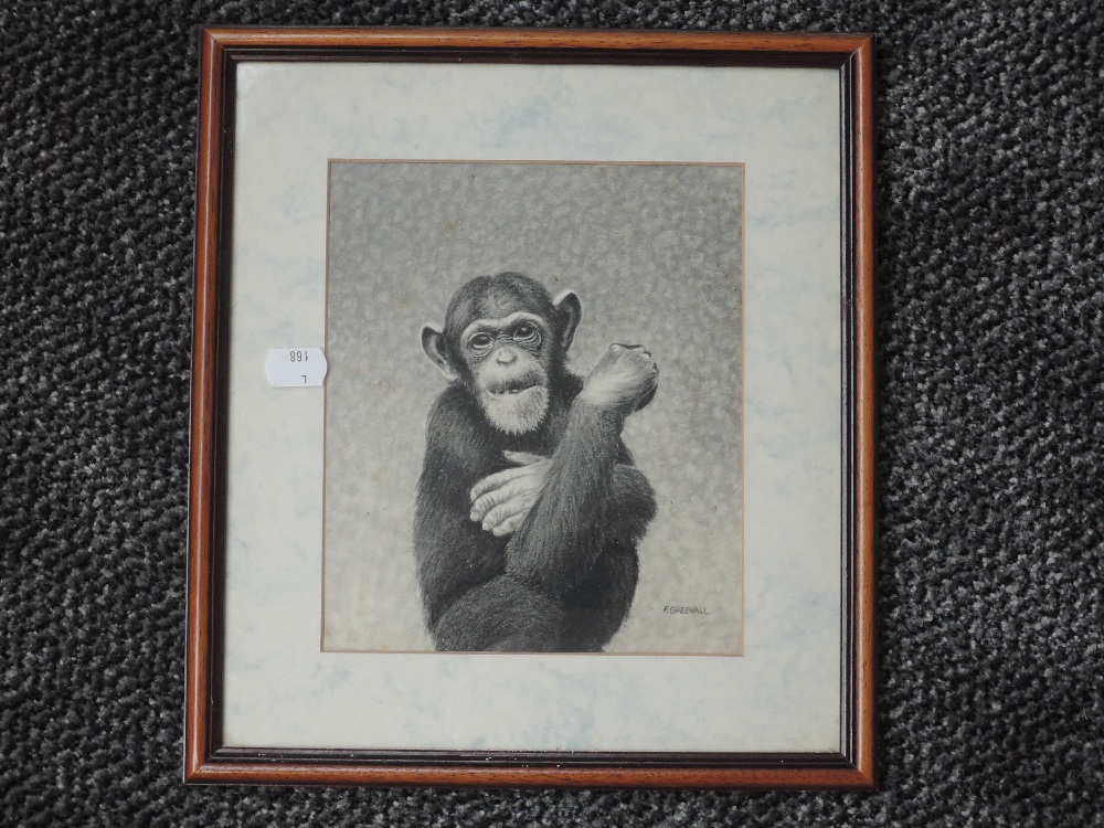 A sketch, F Greenhall, chimpanzee, signed, 20 x 17, plus frame and glazed