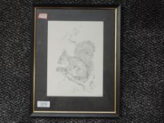 A print, grey squirrel, 21 x 16cm, framed and glazed