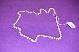 A string of cultured pearls of even form having a gold clasp. approx 25'