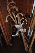 A large collection of walking sticks and canes.