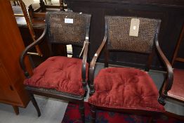 A pair of early 20th Century bergere armchairs