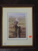 Two Ltd Ed prints, after Nigel Artingstall, Barn Owl, numbered 39/150, signed, 26 x 19cm, plus frame