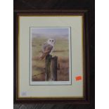 Two Ltd Ed prints, after Nigel Artingstall, Barn Owl, numbered 39/150, signed, 26 x 19cm, plus frame