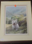 A Ltd Ed print, after Steven Townsend, Highland terrier, signed and numbered 239/450, 39 x 29cm,