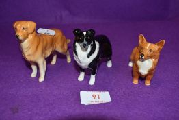 Three Beswick studies, Corgi 1736, Sheepdog 1854 and Labrador 1956, all small sized