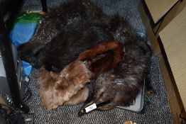 A collection of vintage fur including fox fur stole and mink tippet.